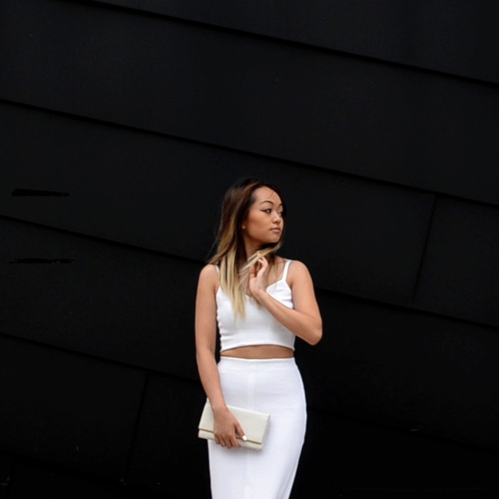 Aritzia babaton johan pencil skirt